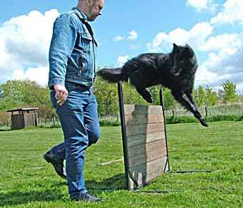 Hopp ver hinder fotograf Hans Aarenstrup