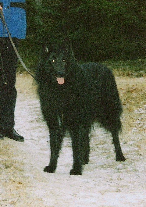 Zancho december 2003 fr dagen med endast halva sin pls kvar (avflld) Zancho december 2003 (for the day with no coat)